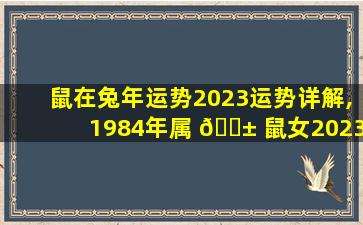 鼠在兔年运势2023运势详解,1984年属 🐱 鼠女2023年运 🦈 势每月运势